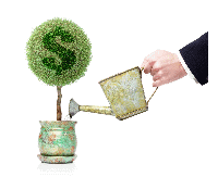 Money's tree